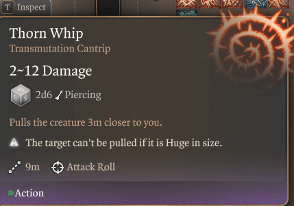 thorn whip best centrip in BG3.