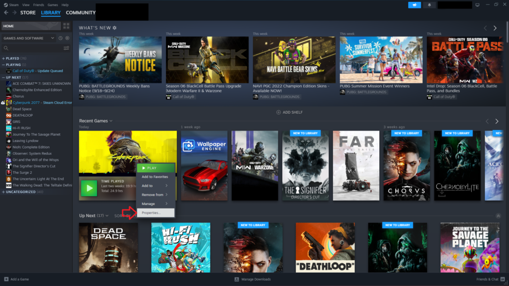 How to verify game files in Steam.