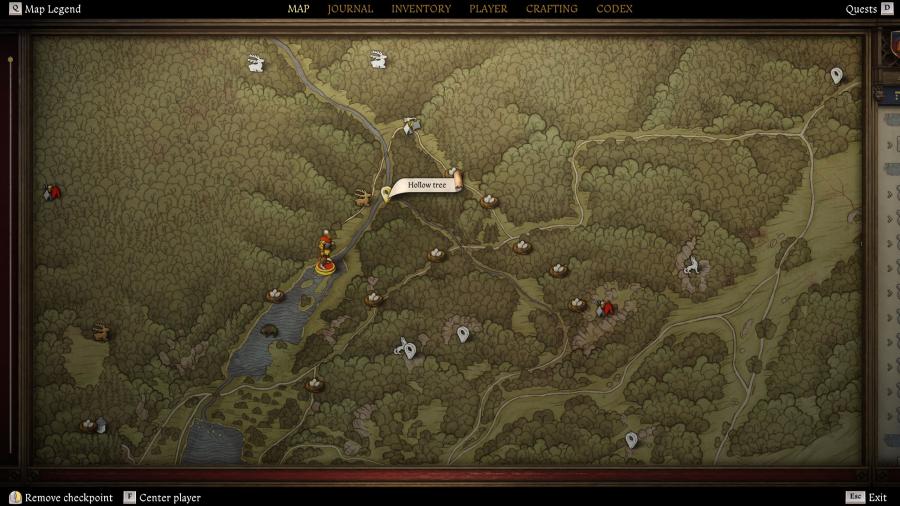 Расположение Дупла Дерева