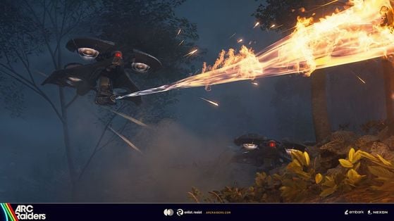 Firefly weak spot