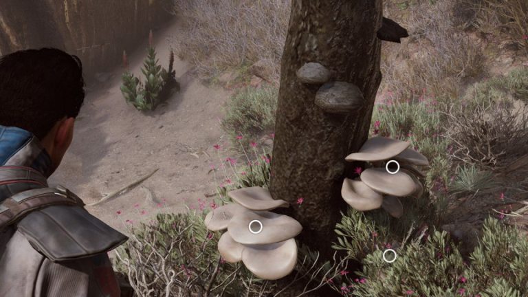 1874729 champignons article cover bd 2